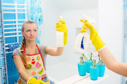 Professional cleaning company servicing a modern Earlscourt home