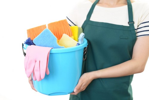 After builders cleaning in Earlscourt dust removal service