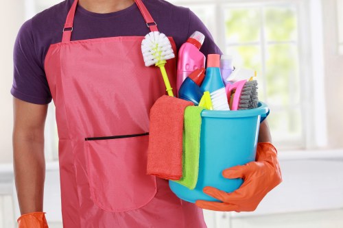 Tools and equipment used for window cleaning in Earlscourt