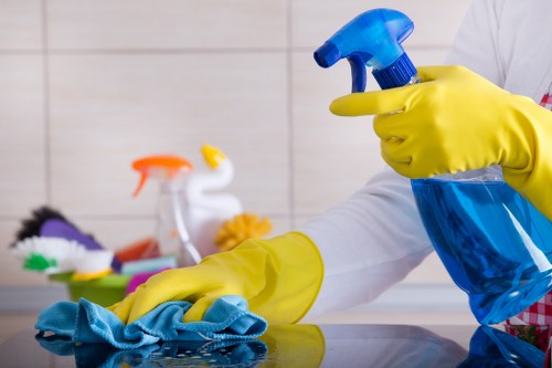 Professional carpet cleaning in an Earlscourt home living room