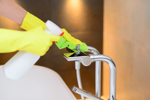 Eco-friendly carpet cleaning process in an Earlscourt property