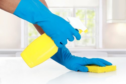 Professional domestic cleaning in an Earlscourt home living room