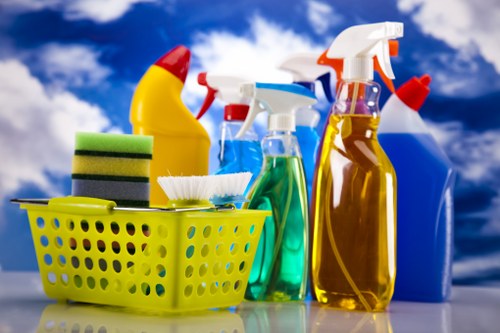 Domestic cleaning services in Earls Court