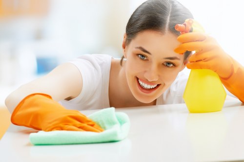 Professional oven cleaning in Earlscourt with a spotless kitchen appliance