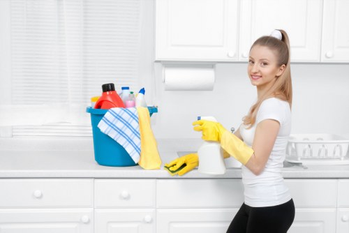 Professional facade cleaning for residential and commercial buildings in Earlscourt