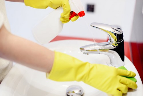 Local Earlscourt cleaners maintaining a tidy office