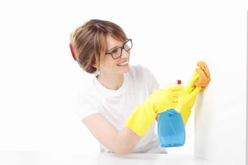 House cleaning team providing regular service in Earlscourt