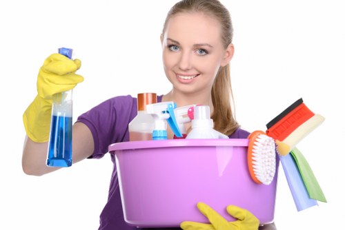 Deep cleaning a renovated kitchen in Earlscourt