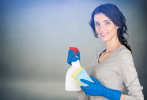 Deep cleaning supplies for an Earlscourt household